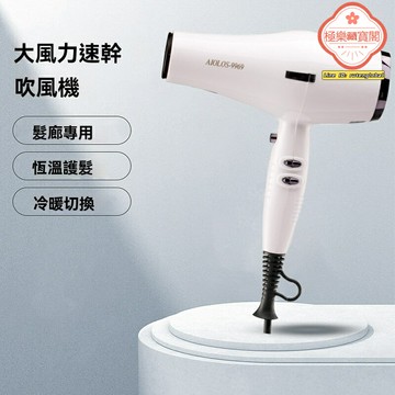 【沙龍速幹】大功率電吹風 吹風機 理髮店專用 高速吹風筒 大功率速幹 恆溫護髮 低噪設計 專業沙龍家用兩用