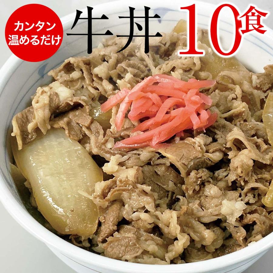 やまと特製 牛丼 10パック セット