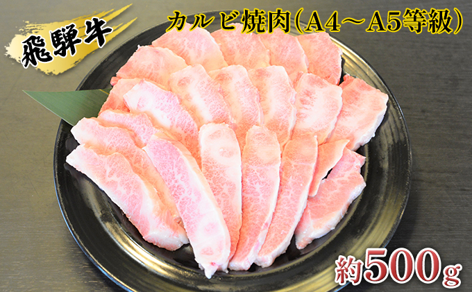 飛騨牛カルビ焼肉（A4～A5等級）約500g（約250g×2パック）