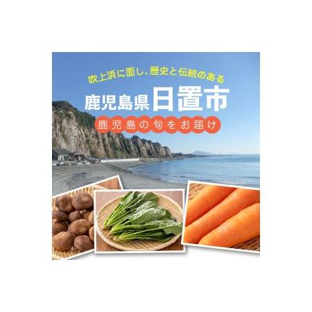 ふるさと納税 No.788 旬の野菜の詰め合わせ(6~9種類) 鹿児島県日置市