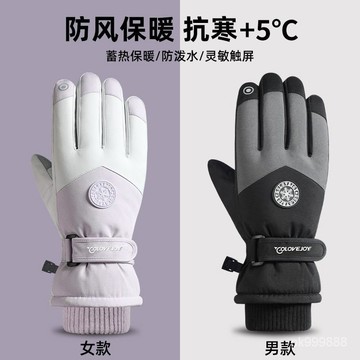 【臺灣出貨】 滑雪手套 手套 機車手套 防風手套 保暖手套 防寒手套 騎車手套 觸控手套 冬天手套 止滑手套 機車手套