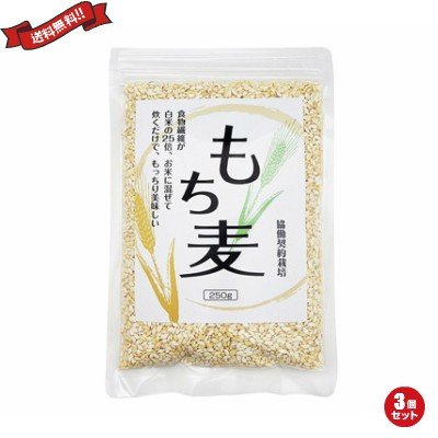 もち麦 国産 もち麦 250g ３個セット 送料無料