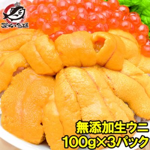 送料無料 うに 冷凍生うに 無添加 100g×3パック 最高級Ａグレード。うに丼約6杯分のお試しサイズ【ウニ ウニ丼 刺身 うにパスタ うにス