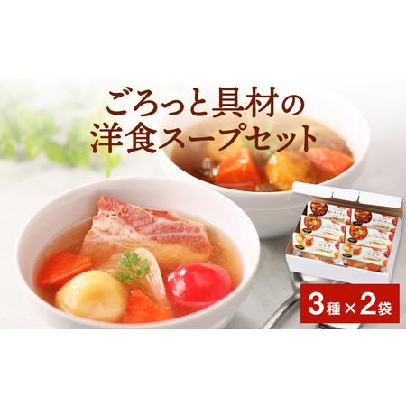 ふるさと納税 ごろっと具材の洋食 スープ 3種6食  ポトフ ビーフ スープカレー ポークシチュー 常温保存 スープ  レトルト スープ  宮城県東松島市