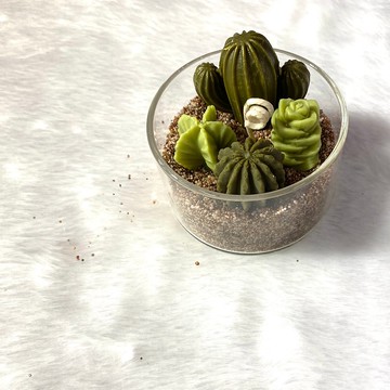 【情緒多肉】療癒植物蠟燭之我很好只是不想說