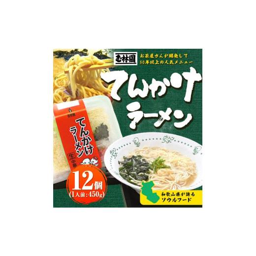 ふるさと納税 和歌山県 紀の川市 てんかけラーメン12個 玉林園《90日以内に順次出荷(土日祝除く)》 和歌山県 紀の川市 ラーメン 天かす