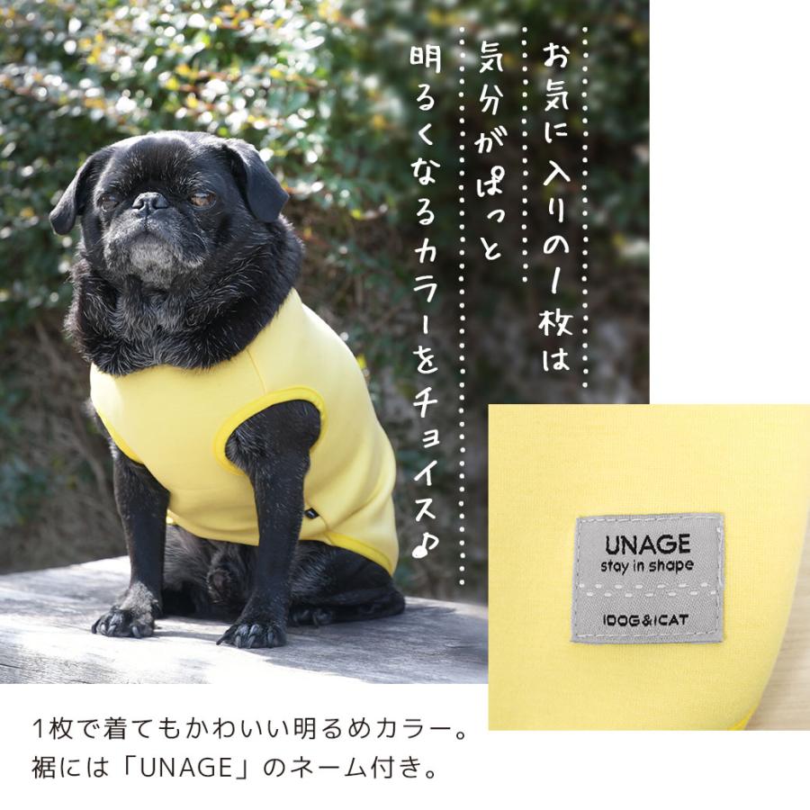 iDog UNAGE アンエイジ ウェルネスウェア AIRPUFF Light 後開きタンク メール便OK