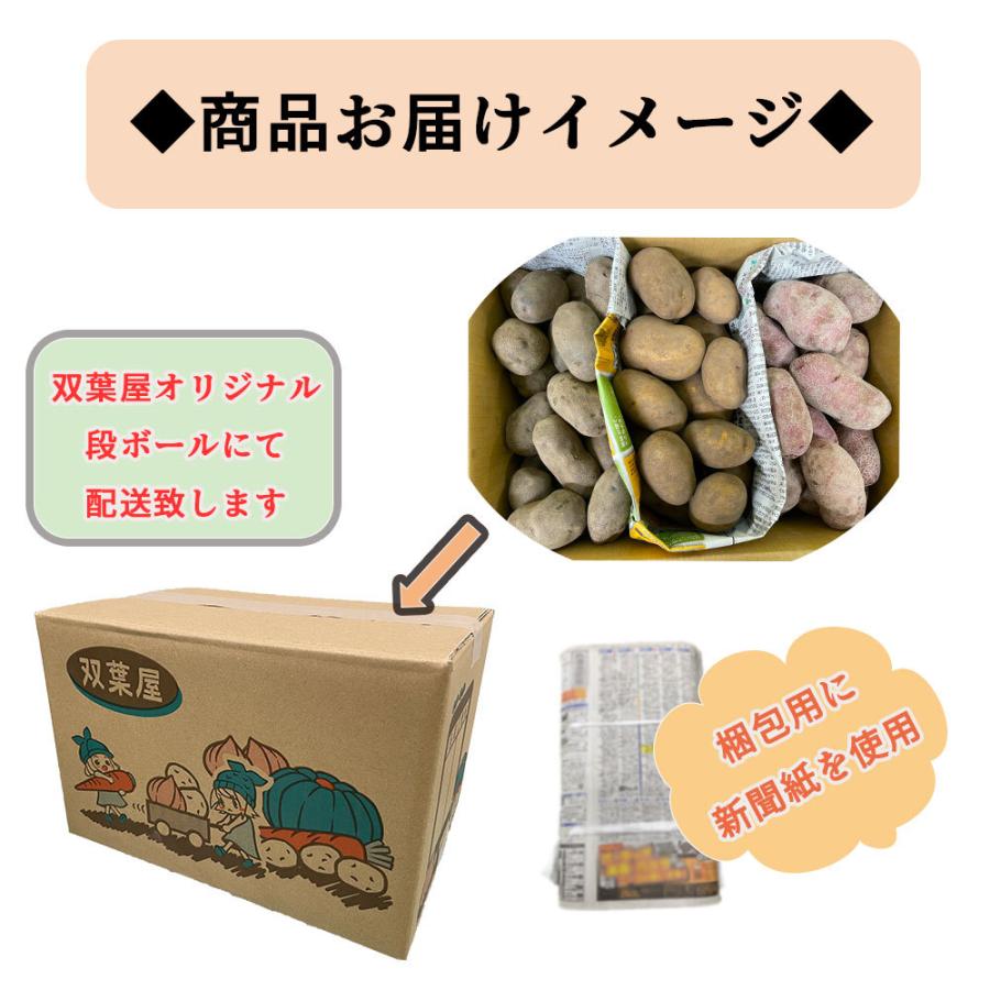 北海道産 カラフルポテト3種食べ比べセット 5kg 送料無料 じゃがいも