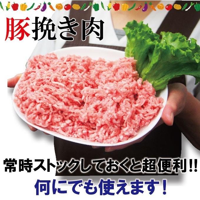 豚挽き肉 カナダ産　500ｇ入冷凍 パラパラミンチではありませんが格安商品 ひき肉 挽肉 挽き肉 豚ミンチ 豚挽肉