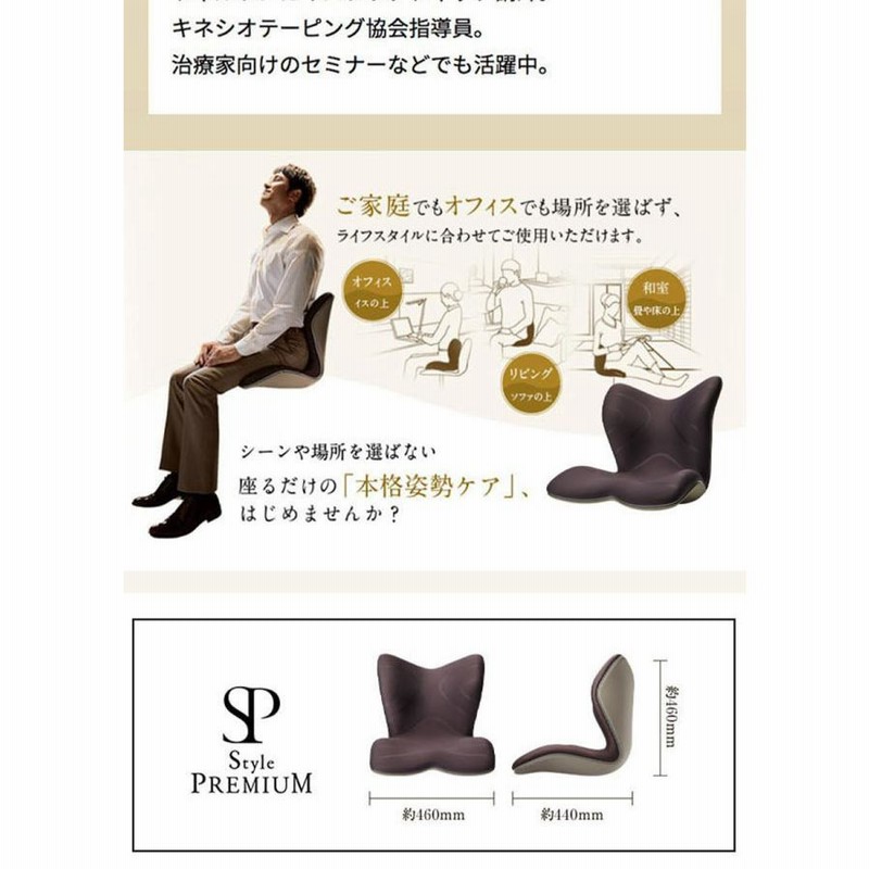 座椅子：Style PREMIUM DX（値下げ】【半額以下】Style Premium DX(座 