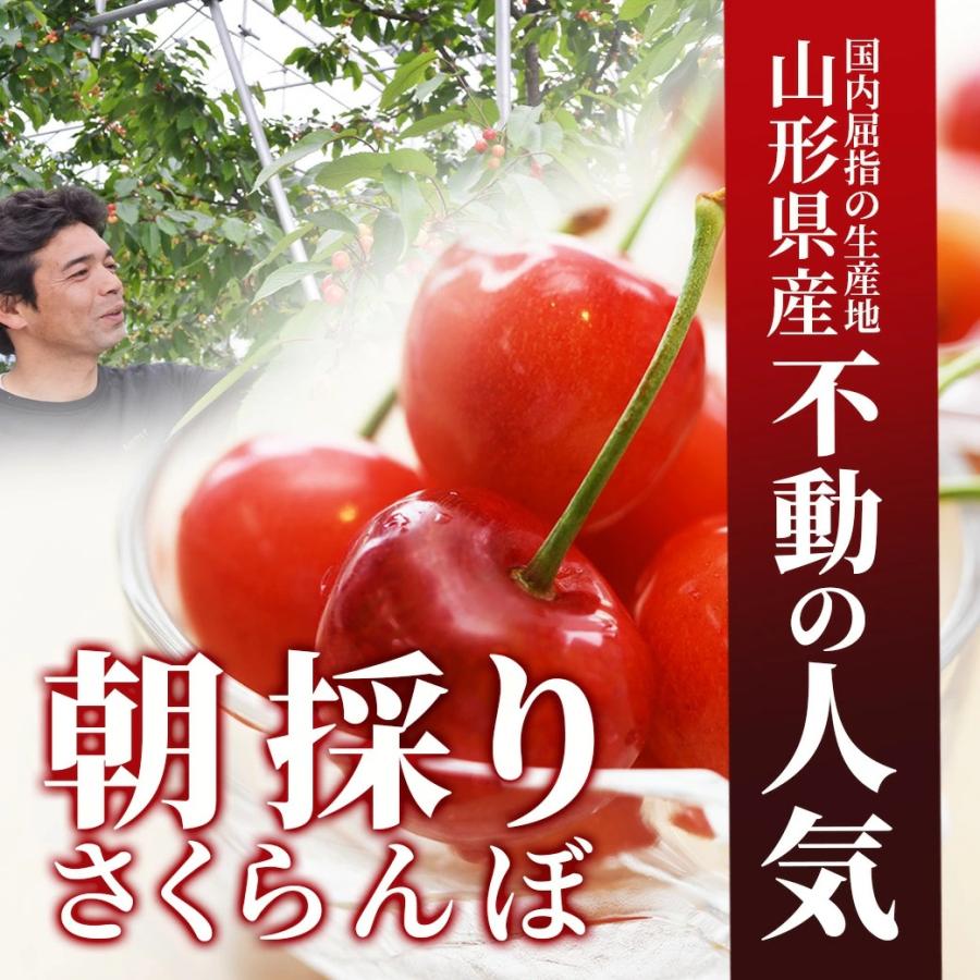 さくらんぼ 佐藤錦 1kg バラ詰め 山形 秀品 山形県産 サクランボ 送料無料 贈答用 取り寄せ 化粧箱入 ギフト