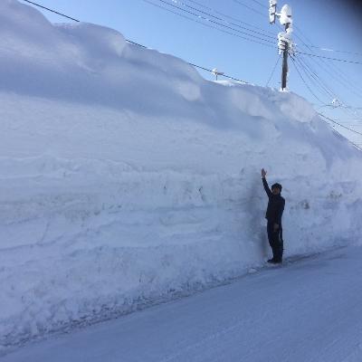 ふるさと納税 魚沼市 雪室貯蔵米お米マイスター厳選1等米　魚沼産コシヒカリ100%2.5kg