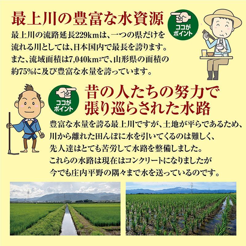 令和４年産 雪若丸５kg  山形県の米どころ庄内平野で育った庄内米 送料無料