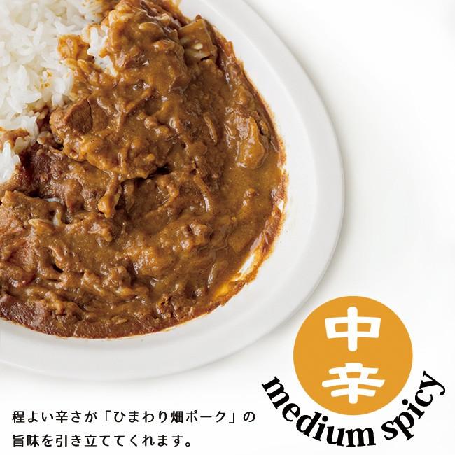 名寄カレーセット各1箱中辛味 なよろ料理店監修ご当地カレー