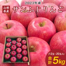 山形県産サンふじりんご 約5kg (12～20玉入り)