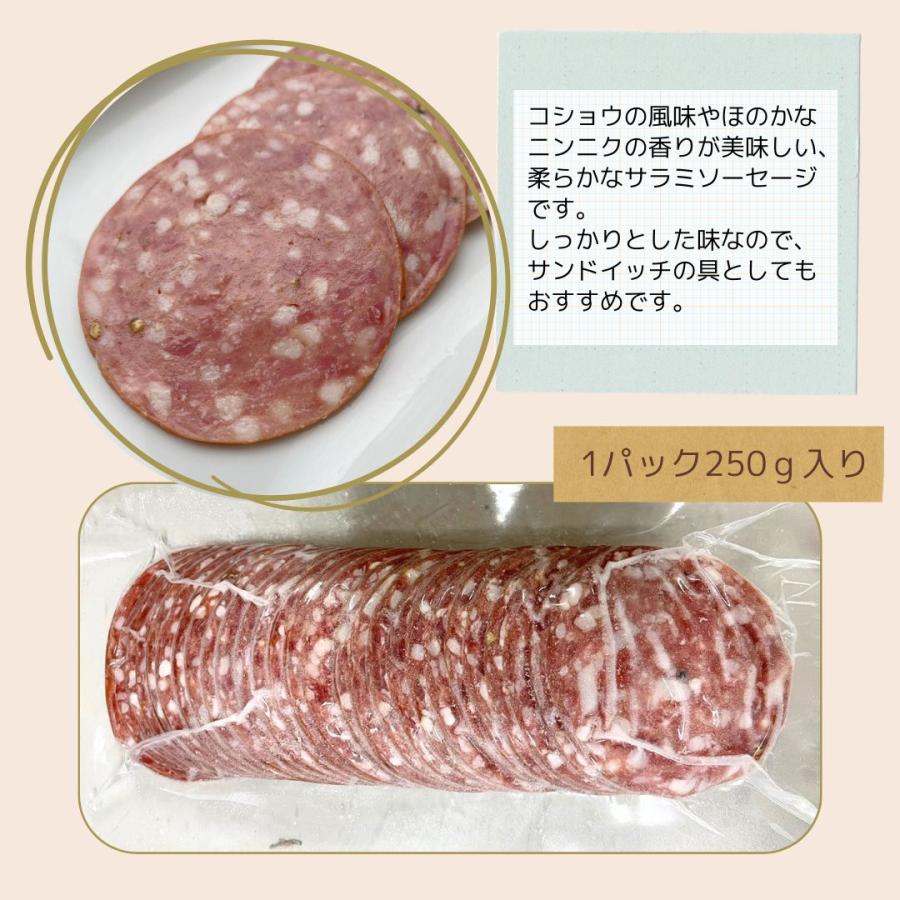 ソフトサラミソーセージ　スライス　250g