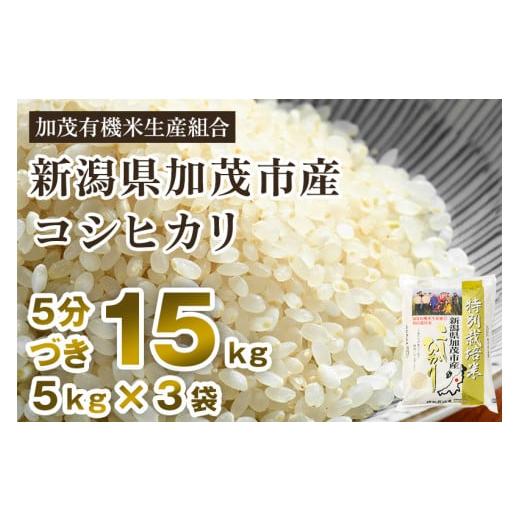 ふるさと納税 新潟県 加茂市 新潟県加茂市産 特別栽培米コシヒカリ 精米15kg（5kg×3） 従来品種コシヒカリ 加茂有機米生産組合