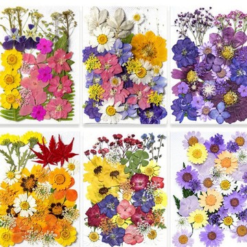 【中花包組合】真花壓花 永生花 森林系 少女寫真 壁畫 DIY水晶滴膠 乾燥花 植物標本