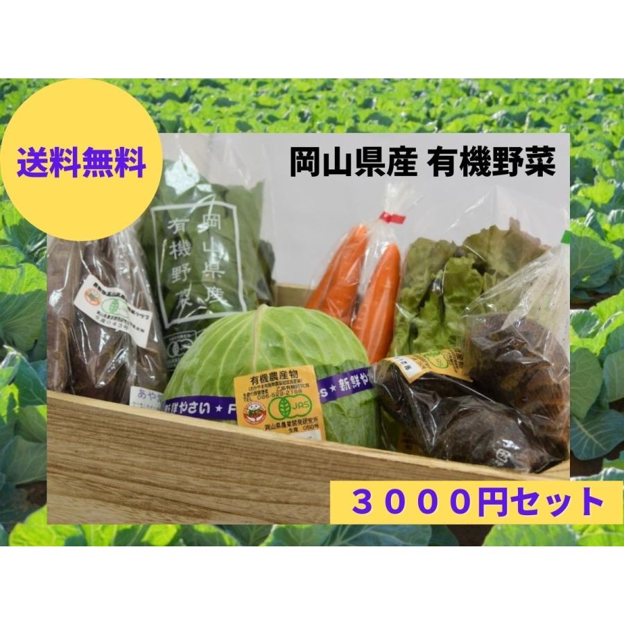 岡山産有機野菜 野菜セット 野菜ソムリエが厳選した 家庭で美味しく頂ける 3000円セット