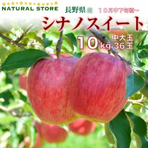 [予約 10月10日-11月30日の納品]  シナノスイート 36玉 （中大玉） 10kg 箱 りんご 長野県産 ギフト用