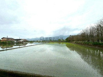 三星頂二萬五段田園景觀休閒農地投資首選｜宜蘭縣三星鄉頂二萬五段