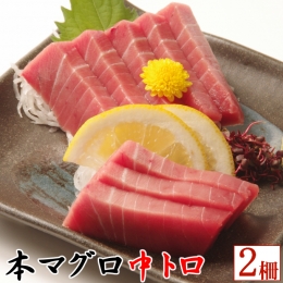 天然本マグロ　中トロ　２柵（４００ｇ）