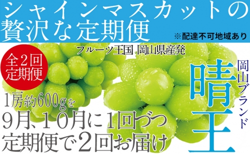 ぶどう 2024年 先行予約 9月・10月発送 シャイン マスカット 晴王 1房