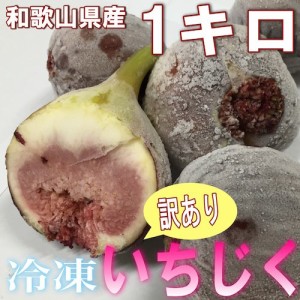 和歌山県産 訳あり 冷凍いちじく 1kg ＊8月中旬頃から入荷あり次第発送開始