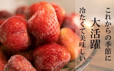 MZ028冷凍あまおう 3kg（1kg×3）いちご 果物 フルーツ