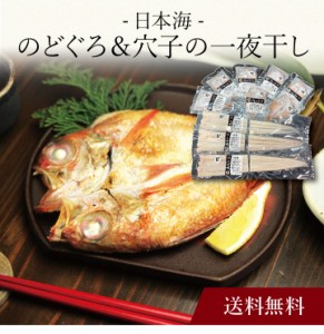 〔 日本海のどぐろ＆穴子の一夜干し 〕お取り寄せ 送料無料 内祝い 出産内祝い 新築内祝い 快気祝い ギフト 贈り物