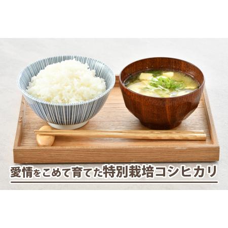 ふるさと納税 《定期便12回》特別栽培米 コシヒカリ 5kg × 12回 （計60kg） 無洗米 低農薬   福井県 あわら市 ブランド米 .. 福井県あわら市