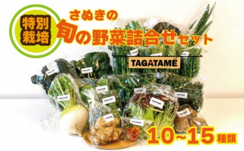 野菜 特別栽培 大容量 セット 詰め合わせ 栽培期間中農薬不使用 10~15種類 TAGATAME タガタメ 旬の採れたて お野菜 詰め合わせ セット