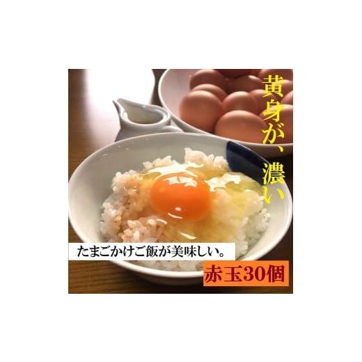 ふるさと納税 茨城県 古河市 AG03_江原ファーム　体に優しい地養卵（３０個）◆