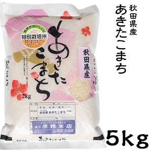 米 日本米 令和4年度産 秋田県産 あきたこまち 5kg