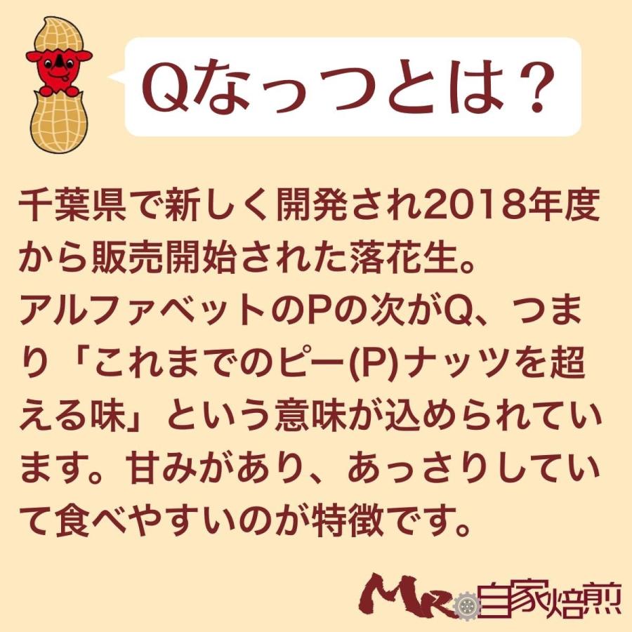 新豆 令和5年度産 Qなっつ 国産 殻付き落花生 千葉県産 八街産 300g ピーナッツ