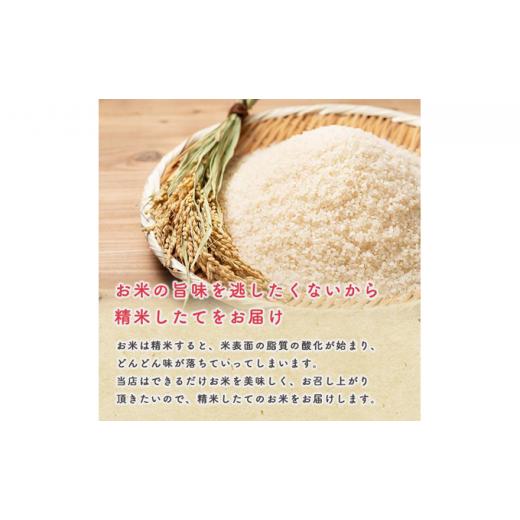 ふるさと納税 秋田県 男鹿市 家計お助け米 令和5年産 あきたこまち 精米 5kg×4袋（合計:20kg） 秋田県 男鹿市 