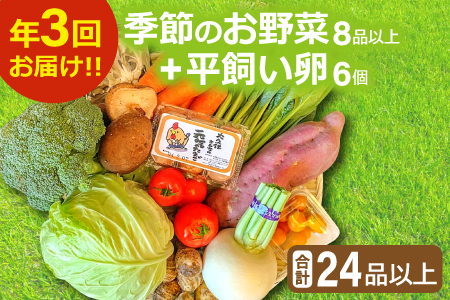 B-810 季節のお野菜と平飼い卵のセット (8～10品)