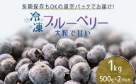  冷凍ブルーベリー500g×2パック（合計1kg）