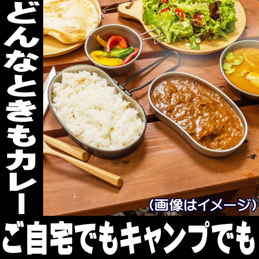 レトルト カレー どんなときもカレー 180g×3袋 甘口 レトルト ギフト 送料無料 メール便 セット メシ セット 業務用 高級 ギフト レトルトカレー キャンプ飯