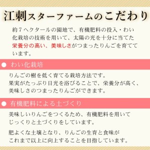  こだわり栽培の はるか 厳選品 3kg 岩手県奥州市産りんご 産地直送 [AY002]