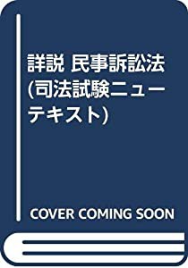 詳説 民事訴訟法 (司法試験ニューテキスト)(中古品)