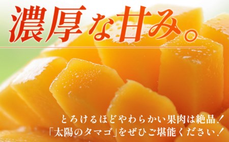 マンゴー 宮崎県産完熟マンゴー 太陽のタマゴ 2L×2個