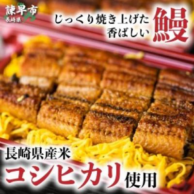 ふるさと納税 諫早市 うな重　370g×2人前