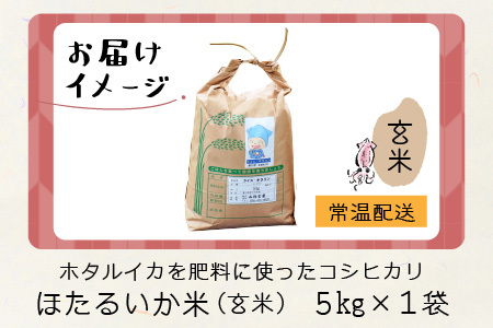 ほたるいか米（新米 玄米５kg）