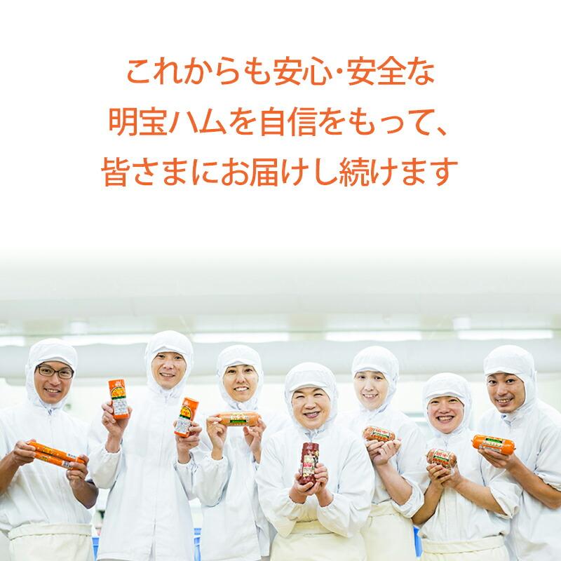 お歳暮 ギフト 明宝ハム ソーセージ 4種 5本入 H2ZPA-C 産地直送 冷蔵便 送料無料 瑞峰ハム ポークソーセージ パセリソーセージ 国産豚肉 もも肉