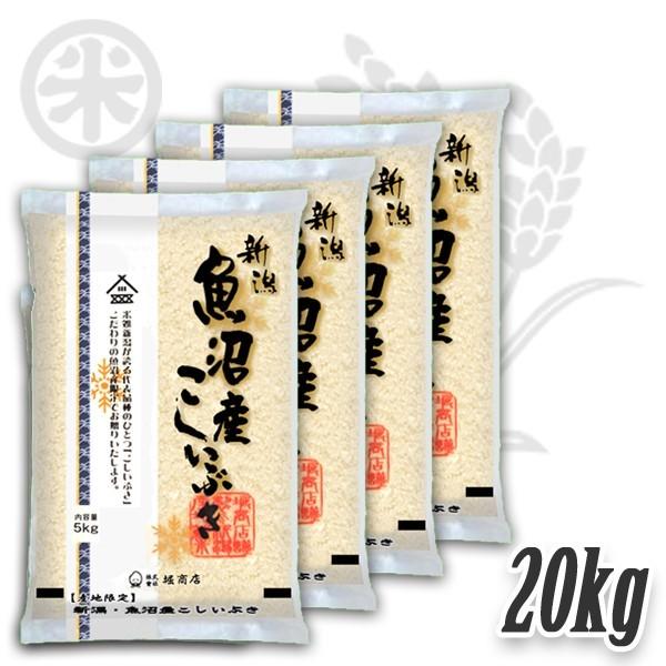 [新潟米 令和4年産] 魚沼産こしいぶき 20kg (5kg×4袋) 別選産地米 新潟米 魚沼米 お米 白米 こしひかり 送料無料 ギフト対応