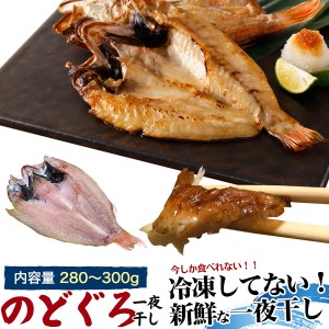 干物 のどぐろ 280～300g 1枚 今しか食べられない 一夜干し 山陰浜田 ノドグロ 高級魚 新鮮 美味しい アカムツ 贈物 プレゼント 冷蔵配送