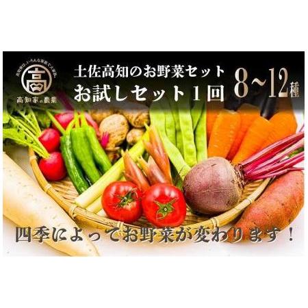 ふるさと納税 高知の新鮮野菜セット／旬の野菜を味わうお試し便 高知県高知市