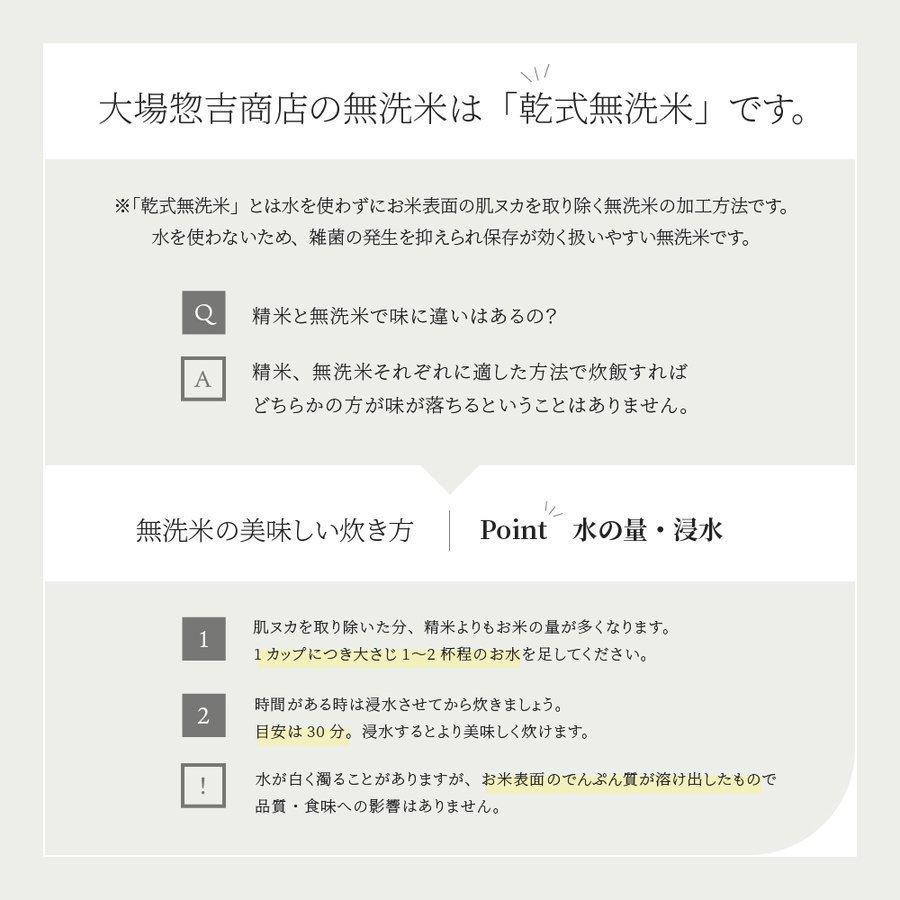 お米 コメ はえぬき 新米 10kg 5kg×2 無洗米 精米 送料無料 山形県産 令和5年産 令和五年産