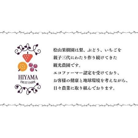 ふるさと納税  茨城県品種 いばらキッス  2パック × 1箱 （茨城県共通返礼品／常陸太田市） フルーツ 苺 イ.. 茨城県桜川市